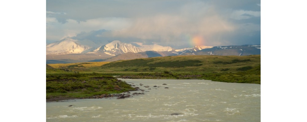 Арт-путешествие на плато Укок (Алтай) с 20 по 28 июля 2024 года!
