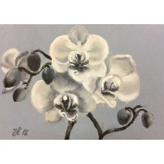 Монохромная орхидея